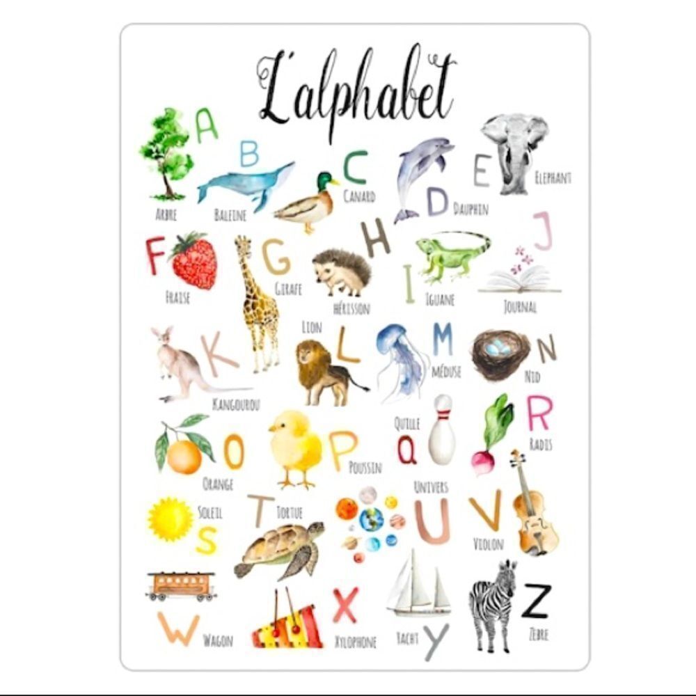 French Alphabet Magnet  